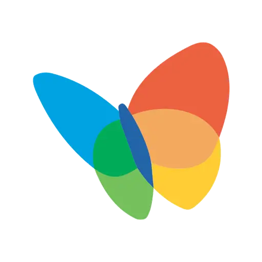 Colorful Butterfly Illustration