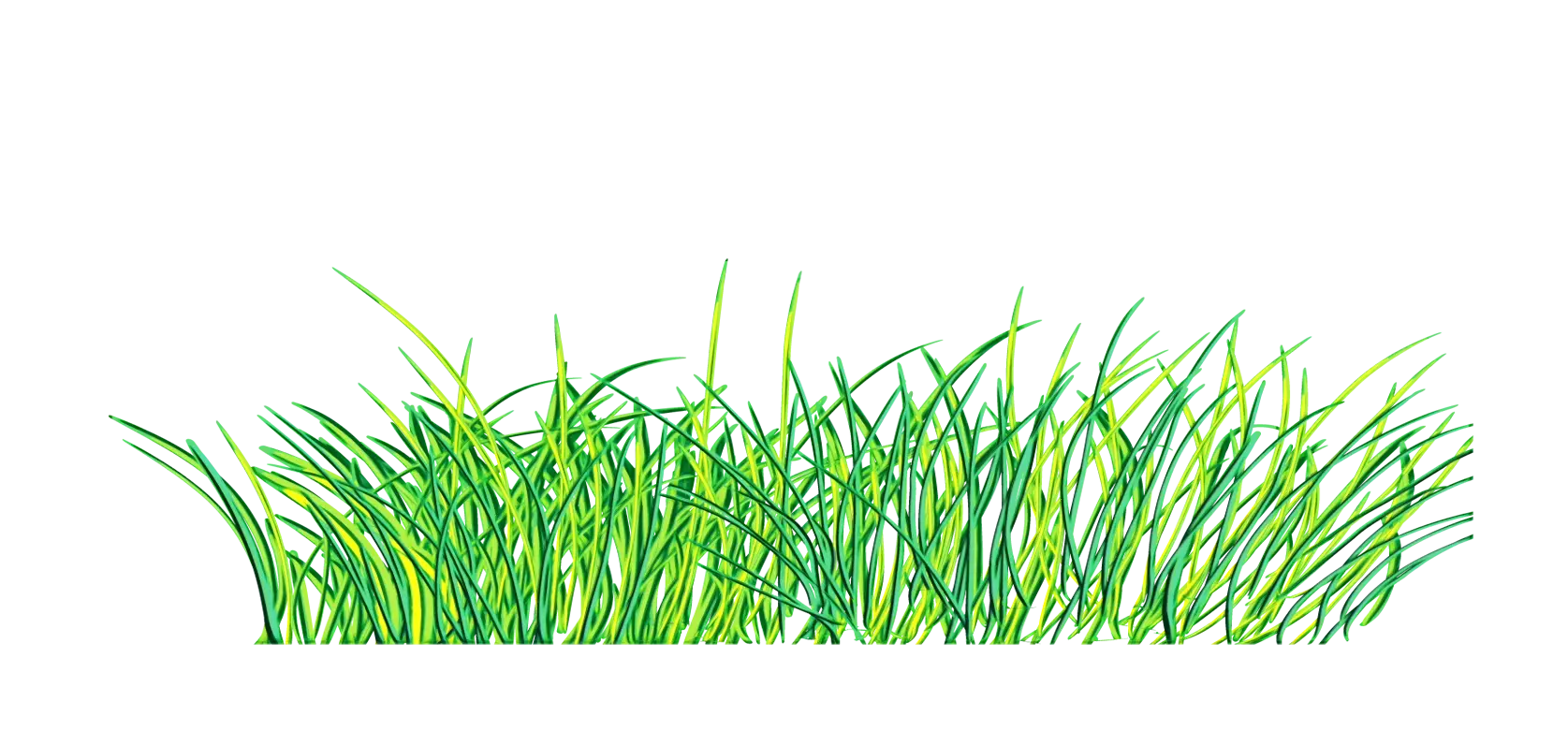 Illustration of Fresh Green Grass