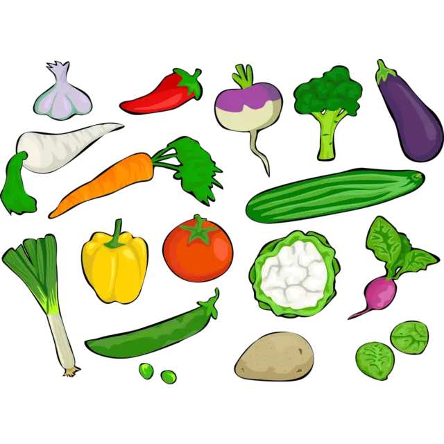 Cartoon Illustration of Various Vegetables