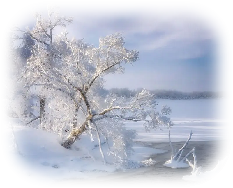 Frozen Snowy Landscape with Icy Trees