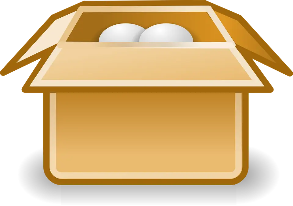 Open Cardboard Box with Eggs