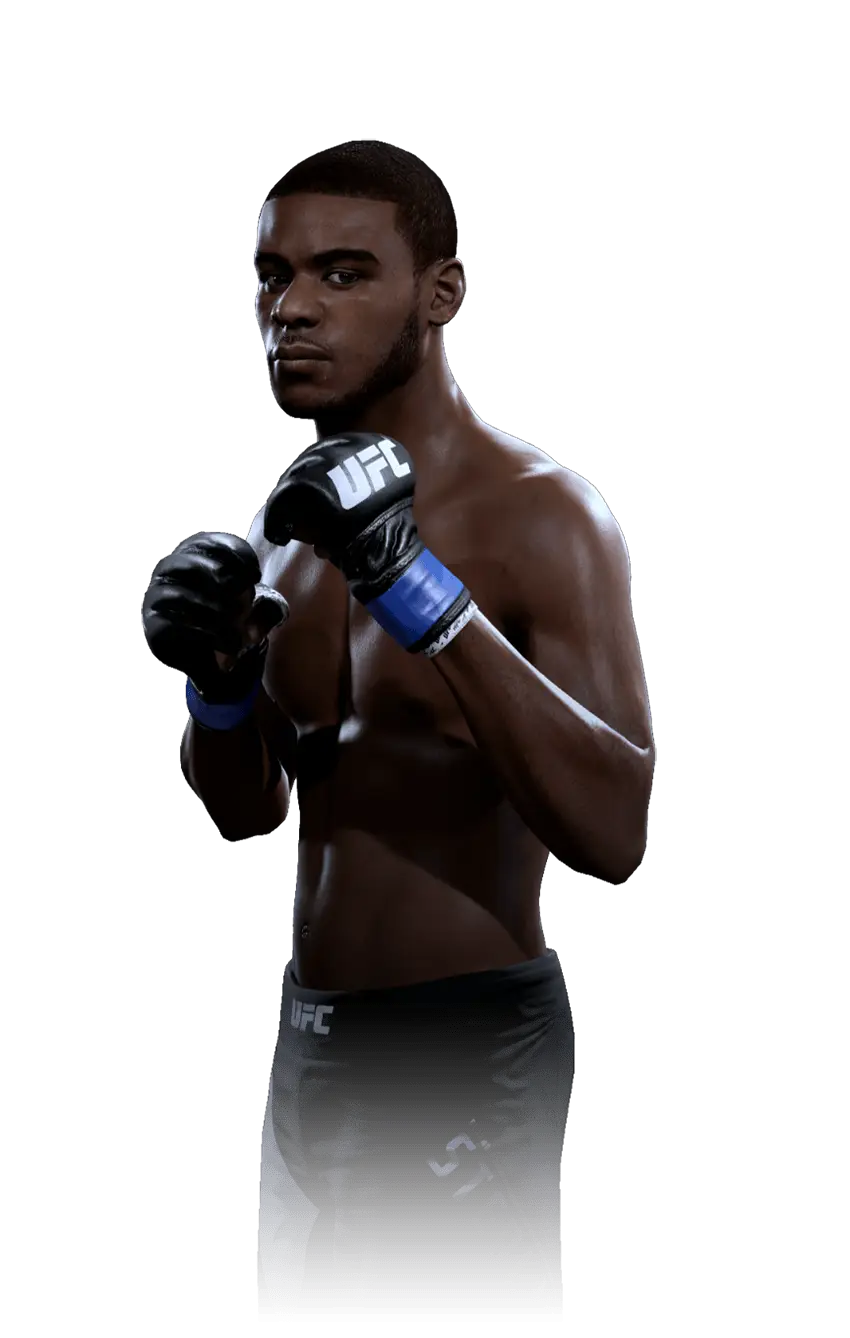 MMA Fighter in Combat Stance