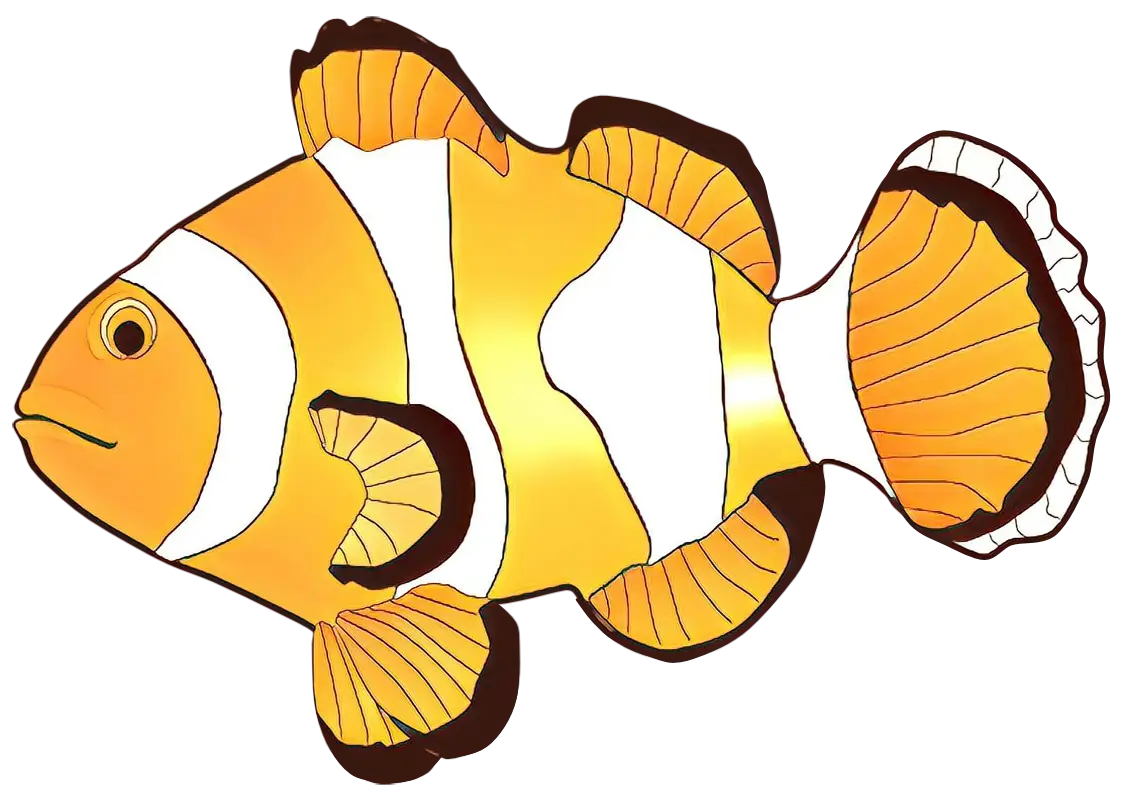 Bright Clownfish Art