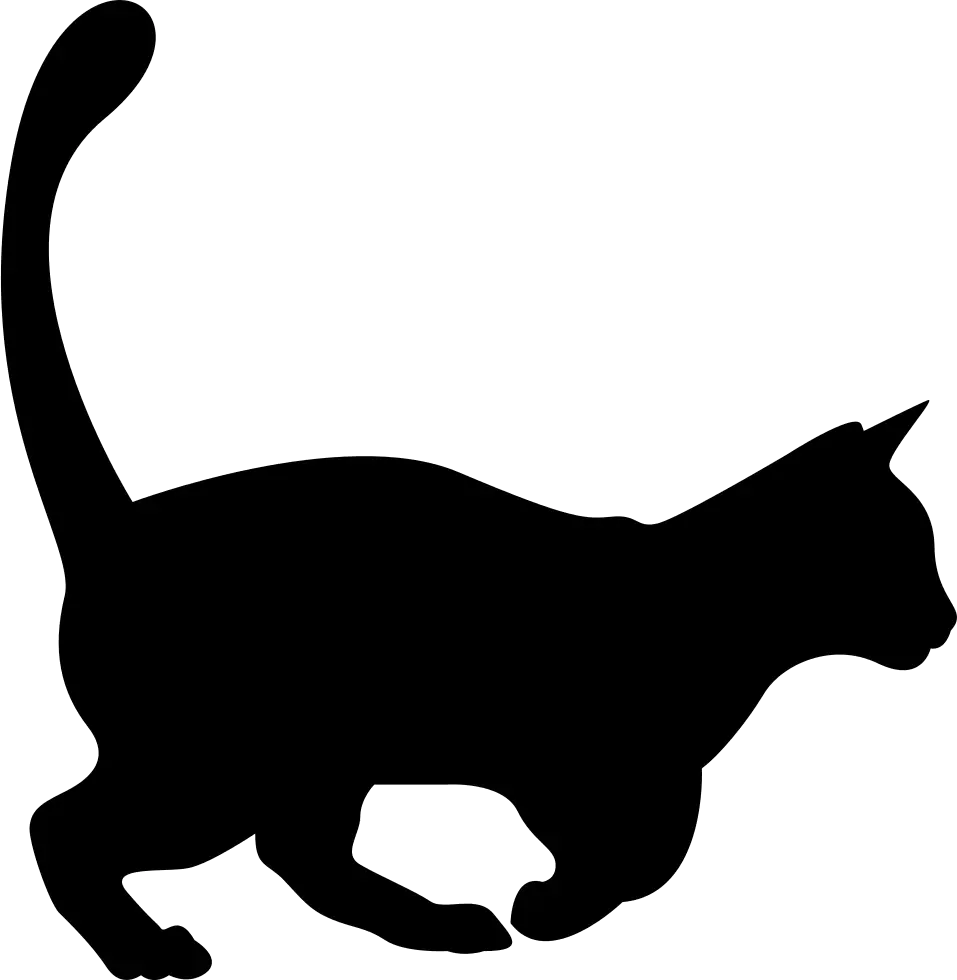 Black Cat Silhouette Illustration