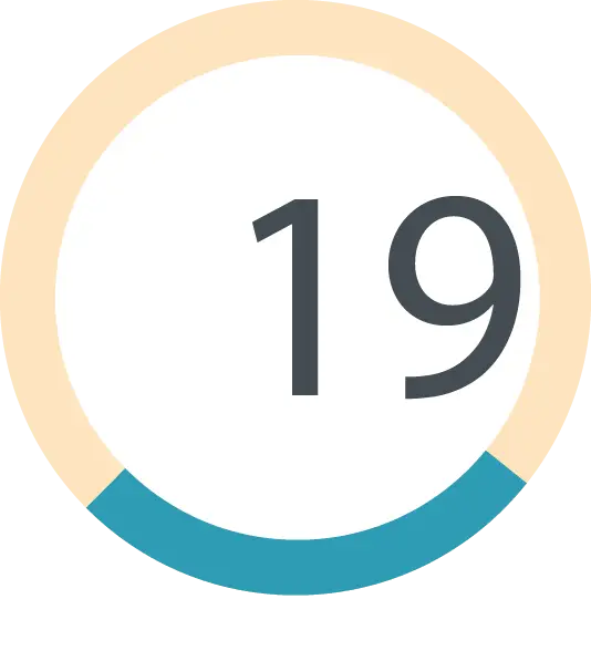 Graphic Number 19 in Circle