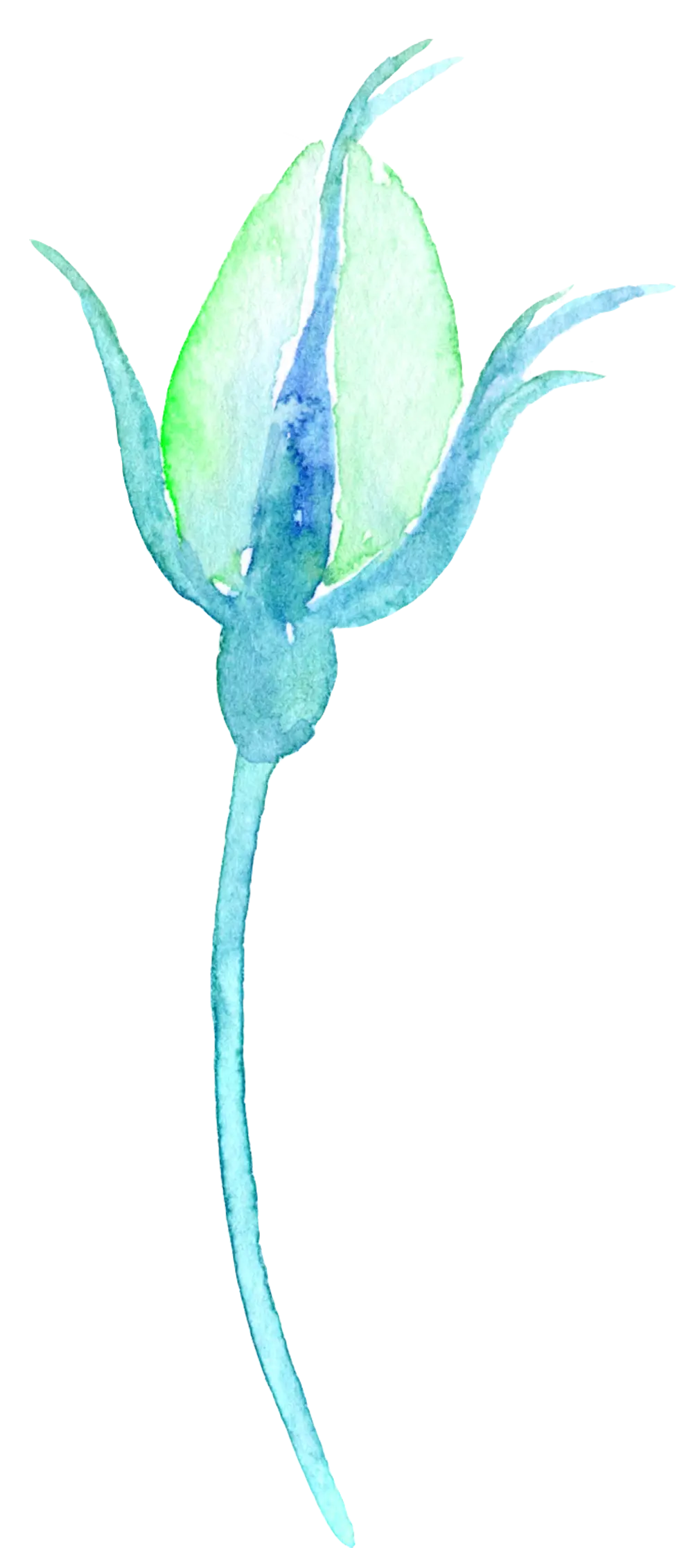 Blue Flower Watercolor Painting