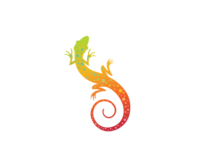 Brightly Colored Gecko Illustration
