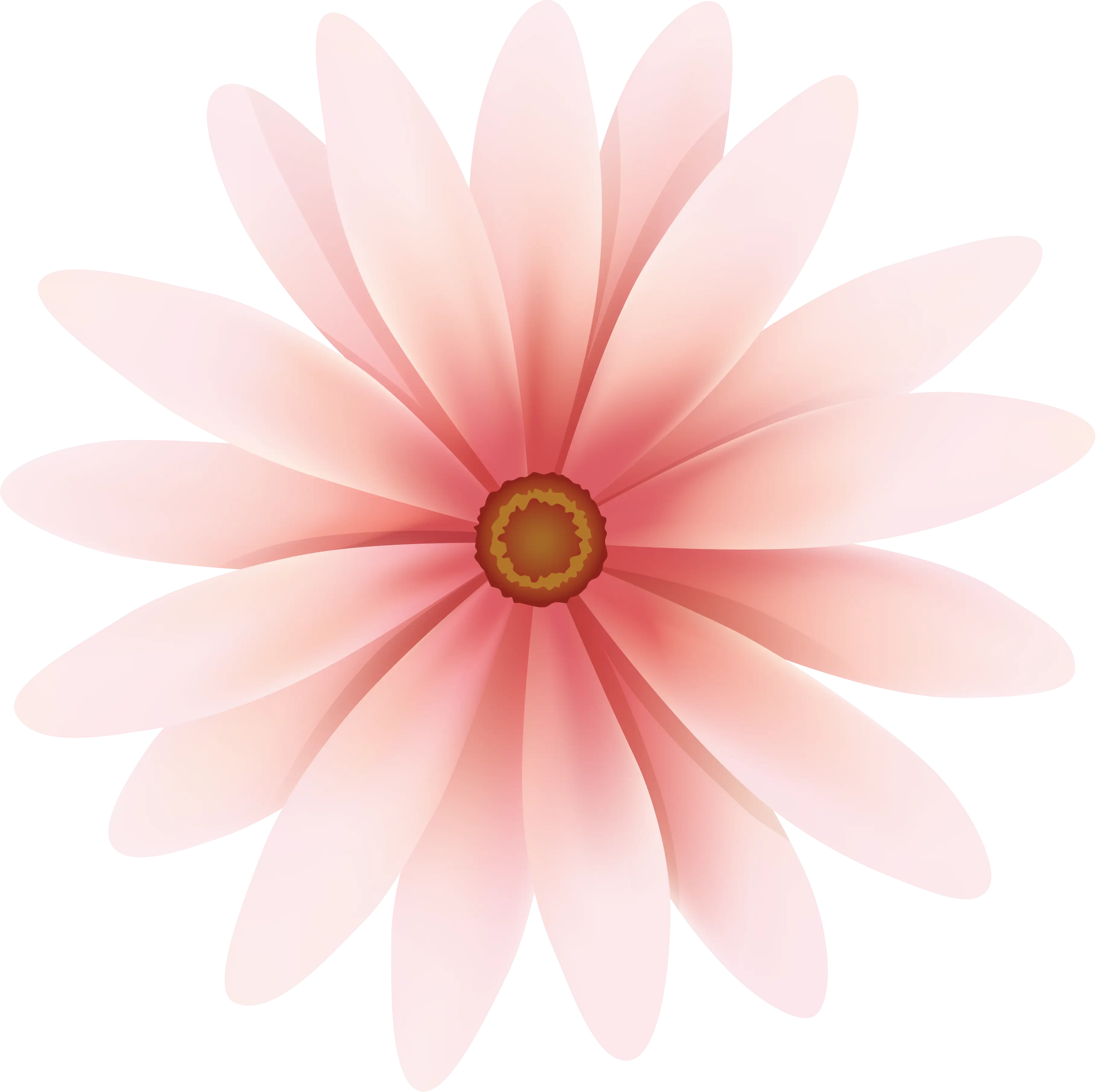 Pink Flower Illustration with Detailed Petals