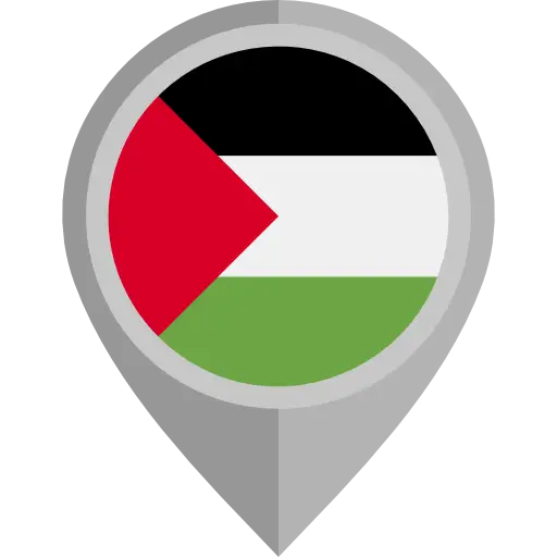 Palestinian Flag in Map Pin Design