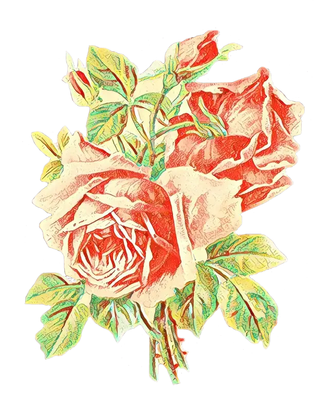 Vintage Red Roses Bouquet Artwork