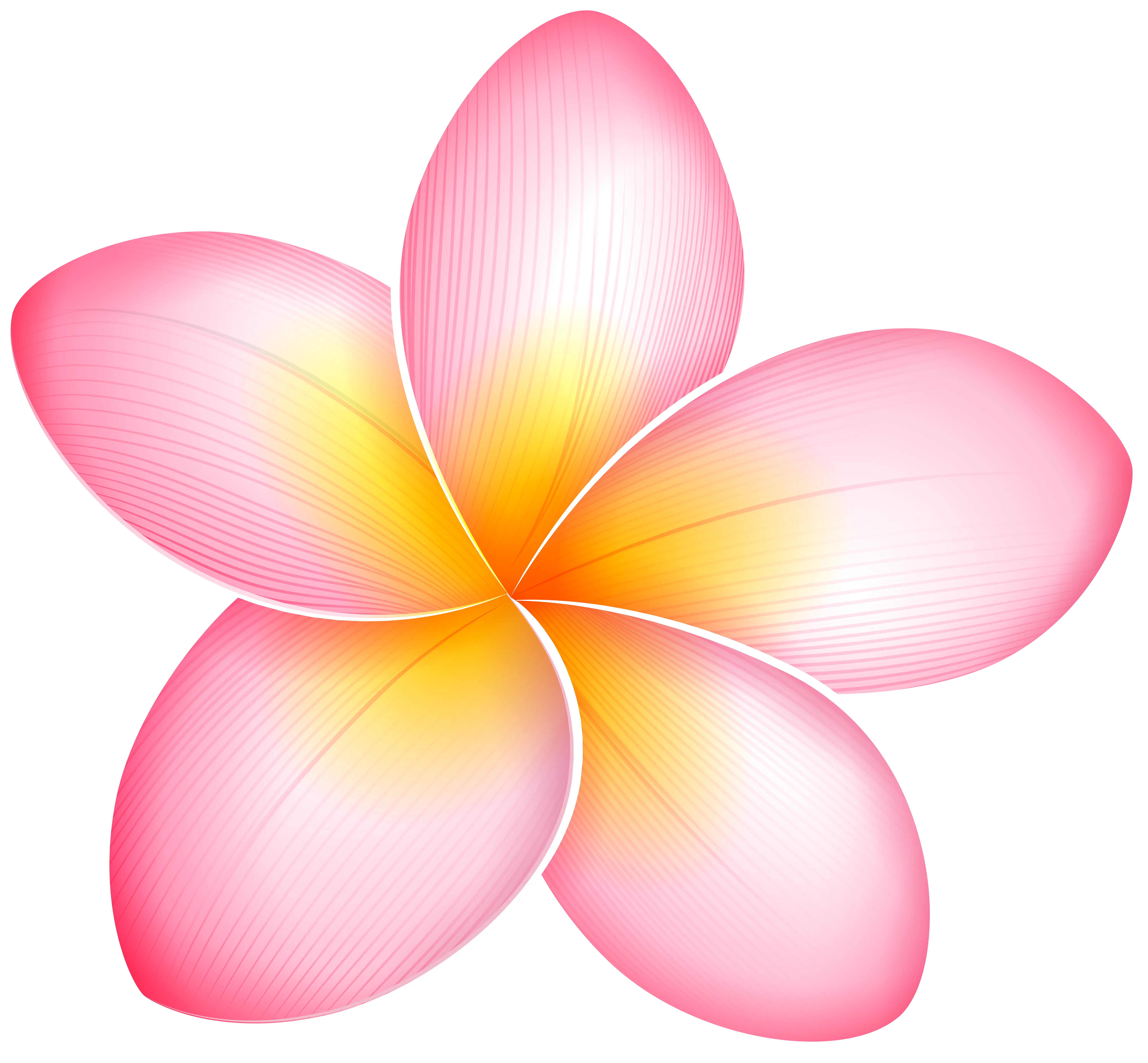 Beautiful Pink Flower with Yellow Center