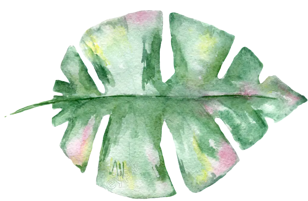 Watercolor Monstera Leaf Art