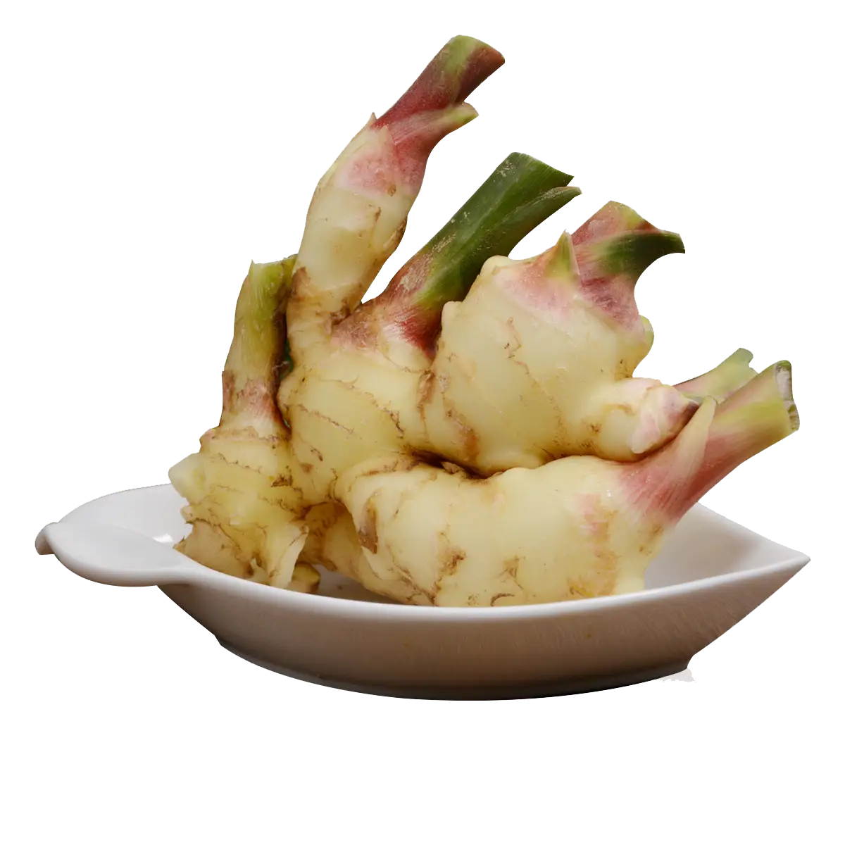 Fresh Ginger Root on Plate