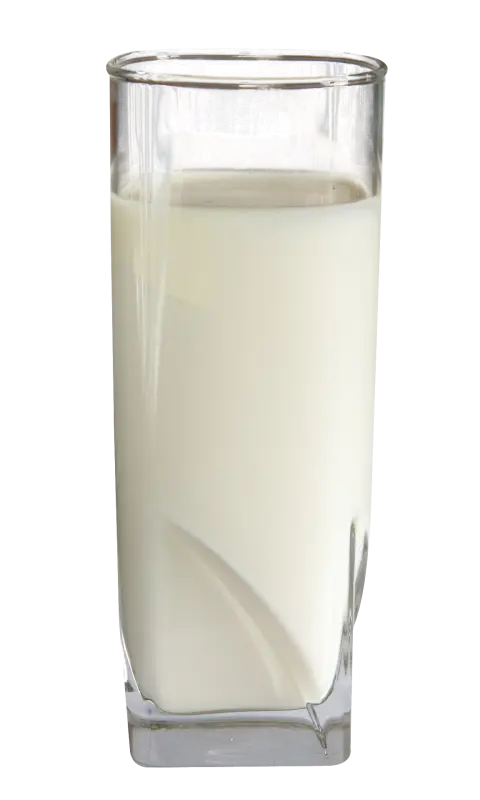 Tall Glass of Fresh Milk