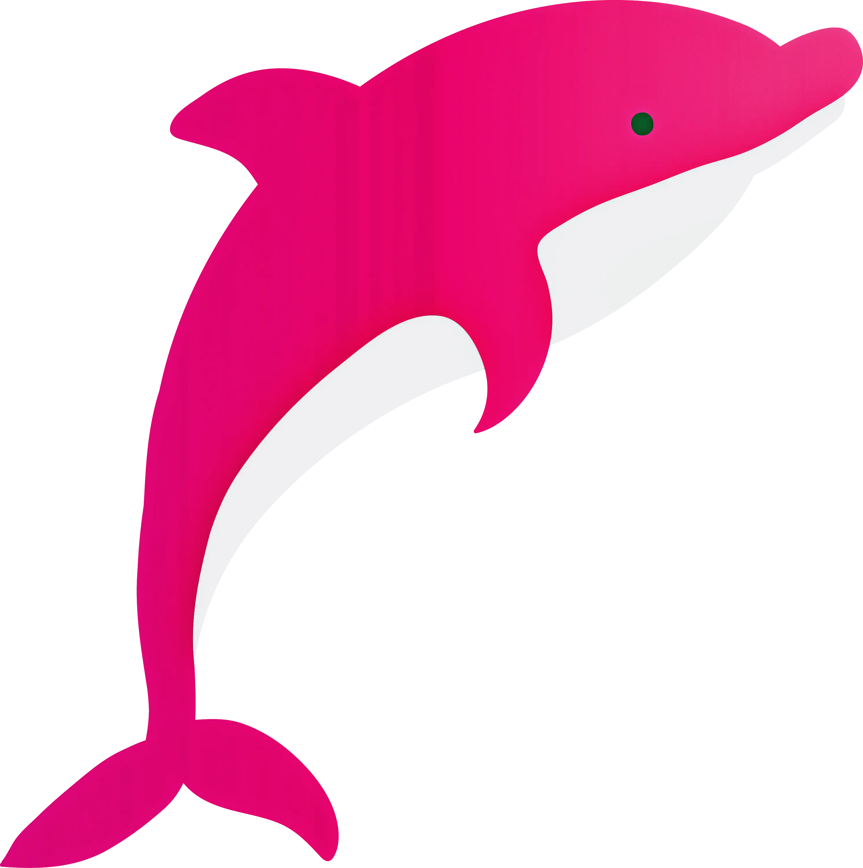 Pink Dolphin Illustration