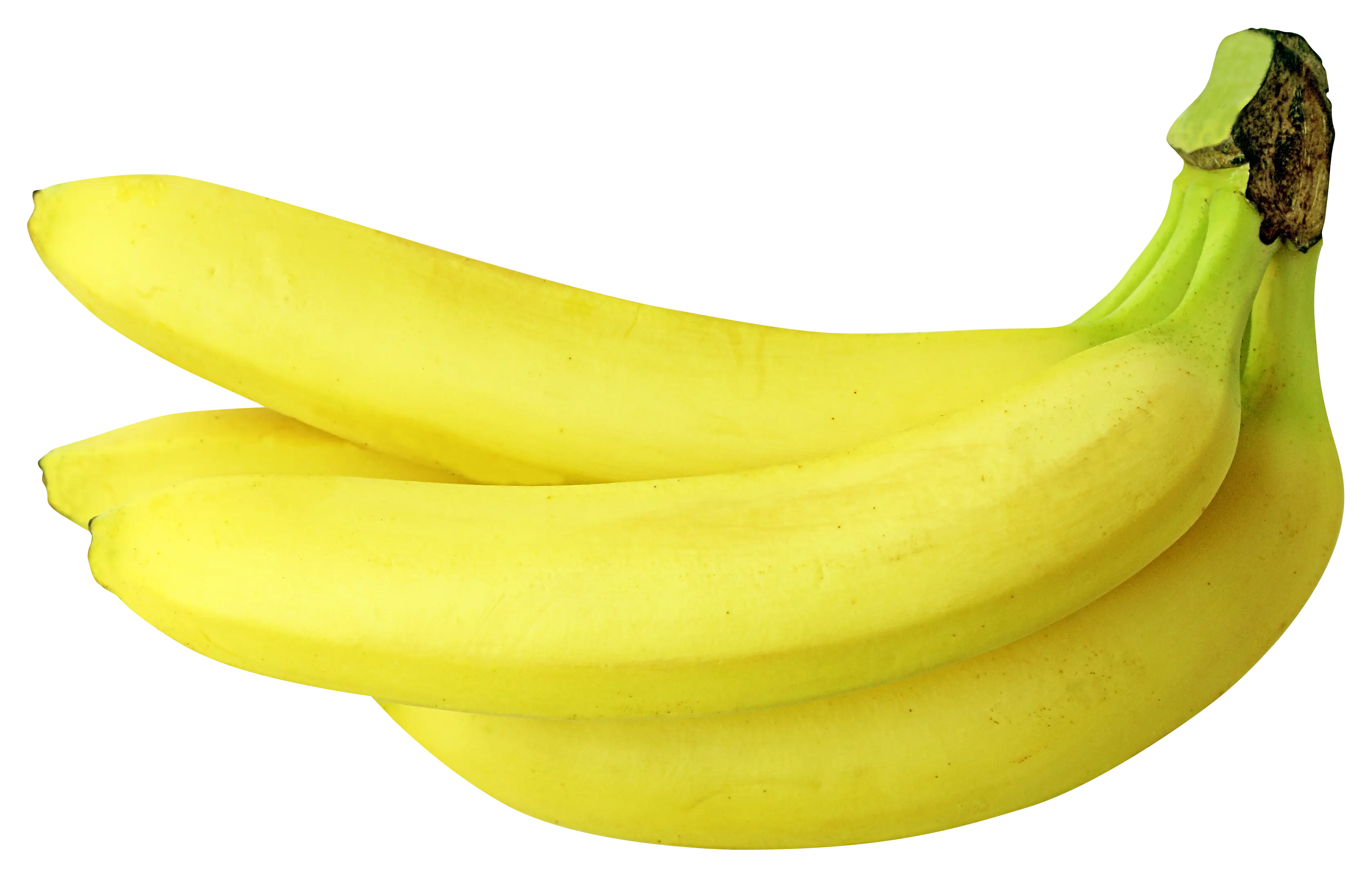 Yellow Banana Bunch with Fresh Appeal