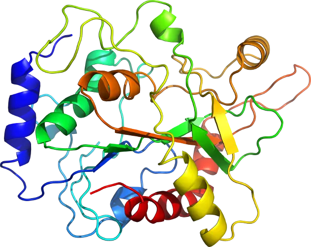 Colorful Protein Structure Diagram