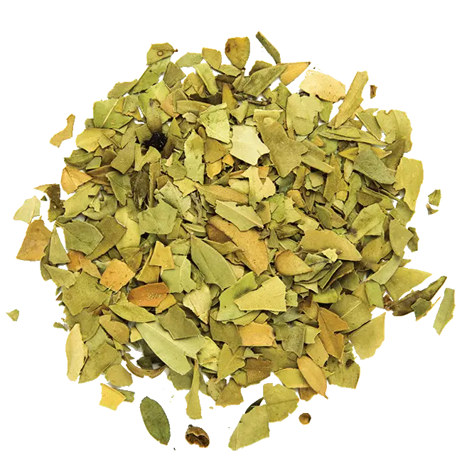 Pile of dried green leaves