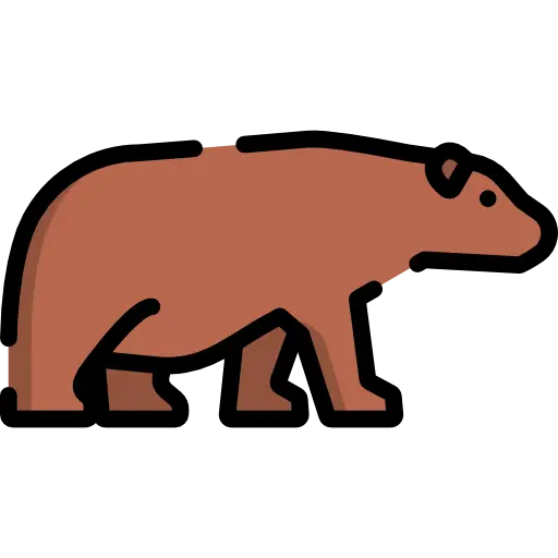 Cartoon Brown Bear Illustration
