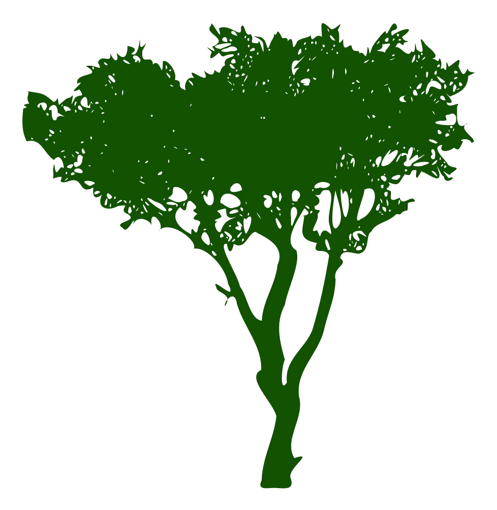 Dark Green Tree Silhouette Illustration