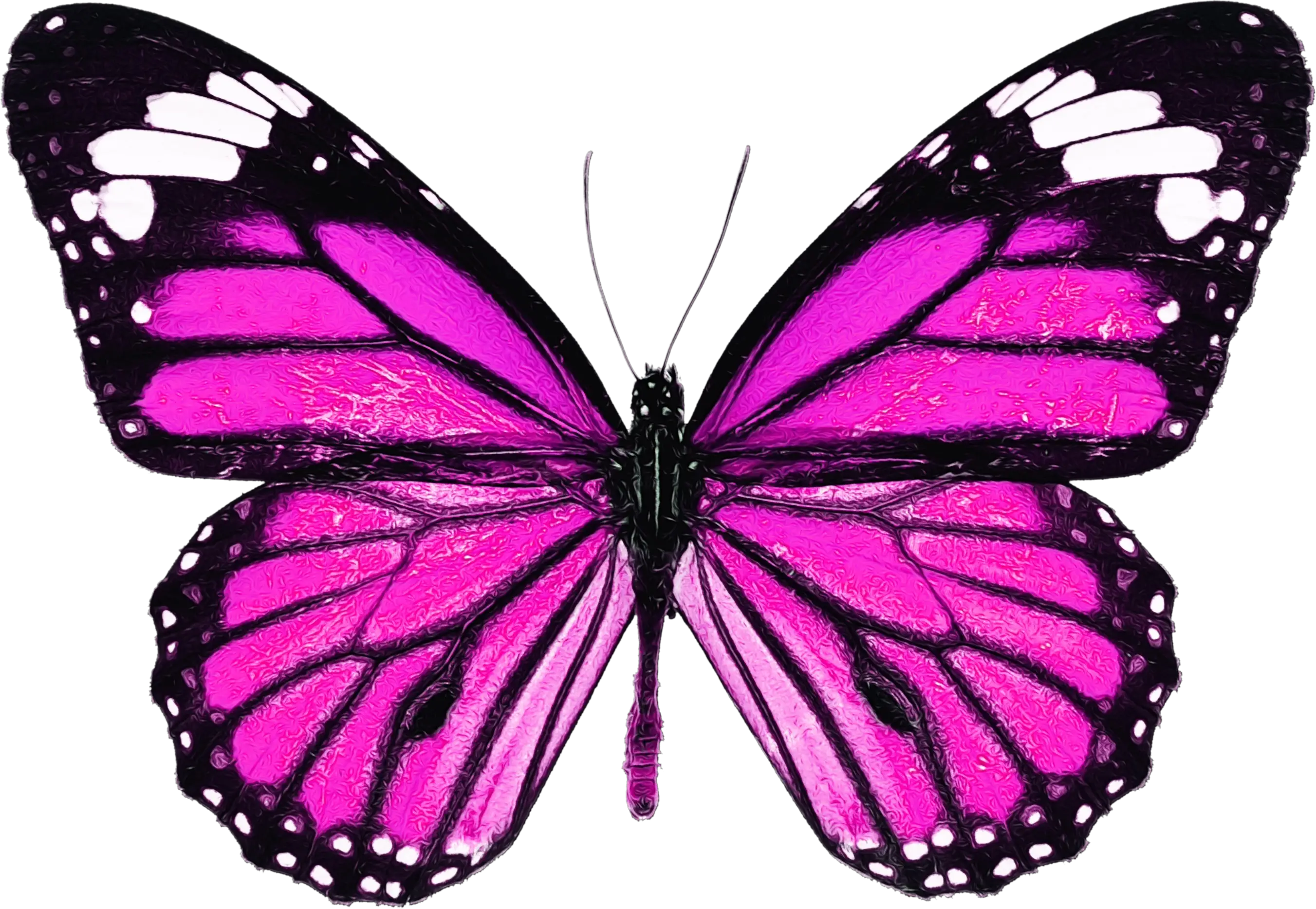 Vibrant Purple Butterfly in Nature