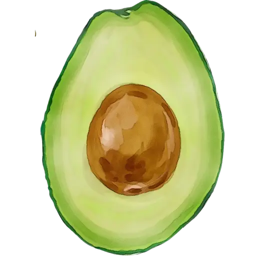 Half Avocado with Seed