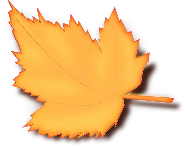 Bright Orange Autumn Leaf Illustration
