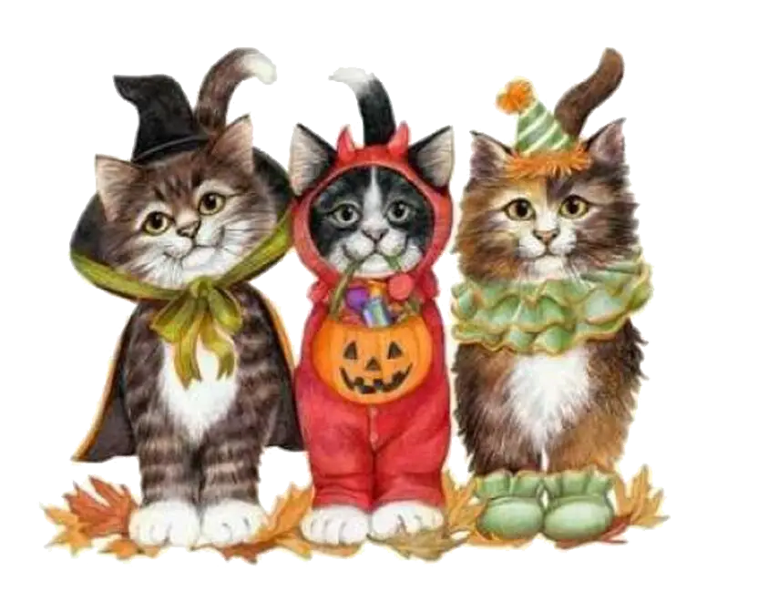 Adorable Cats in Halloween Costumes