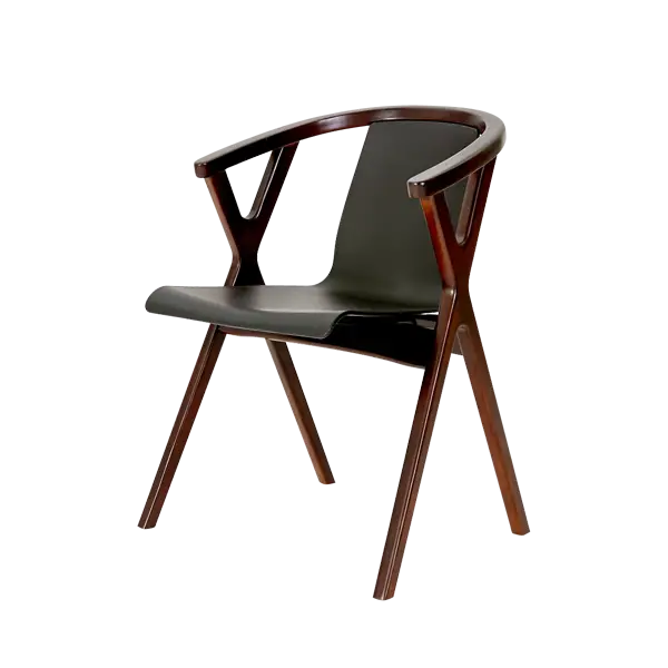 Stylish Modern Wooden and Plastic Chair