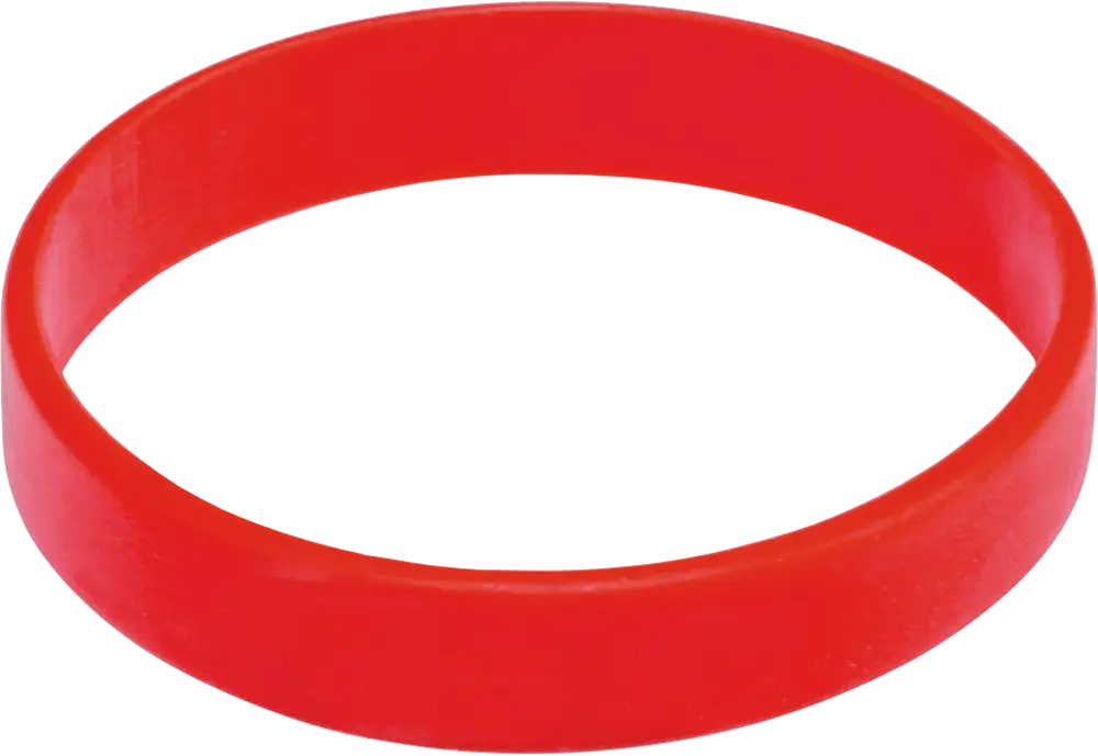 Red Silicone Wristband Accessory