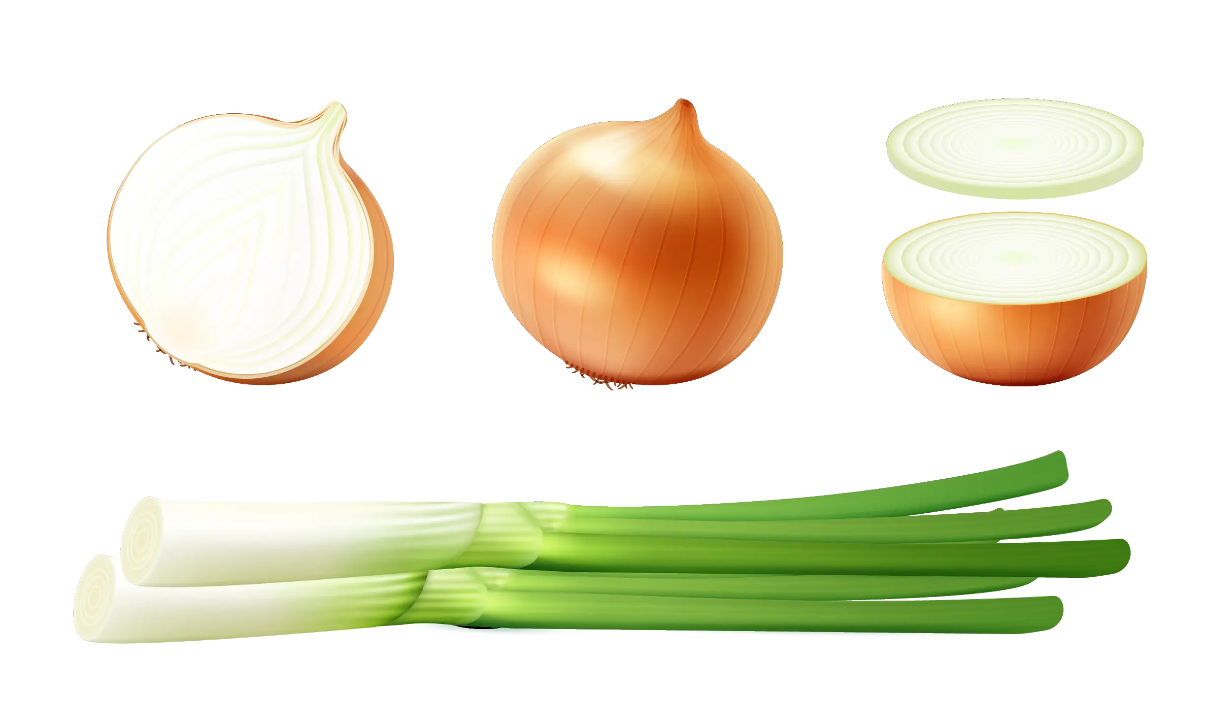 Fresh Onions and Scallions for Culinary Use