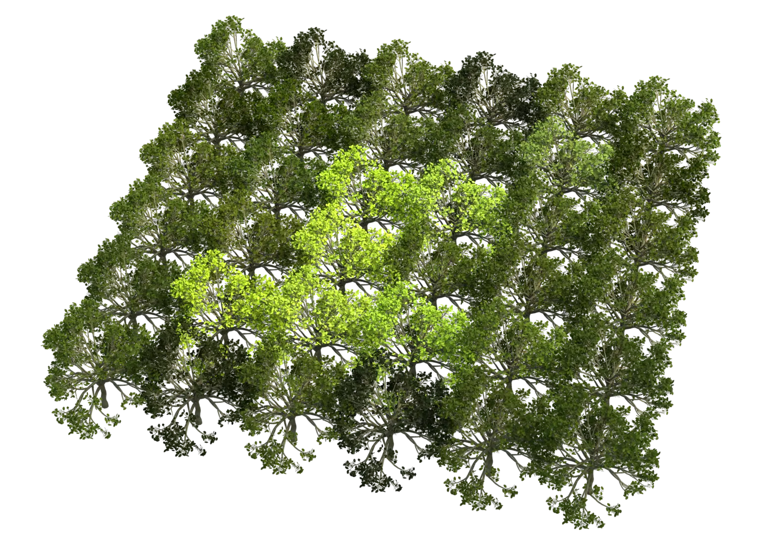Green Tree Pattern Illustration