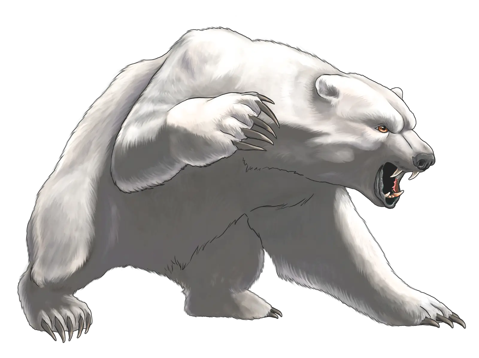 Fierce Polar Bear Illustration