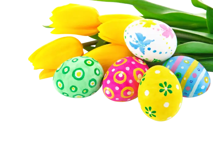 Colorful Easter Eggs with Yellow Tulips