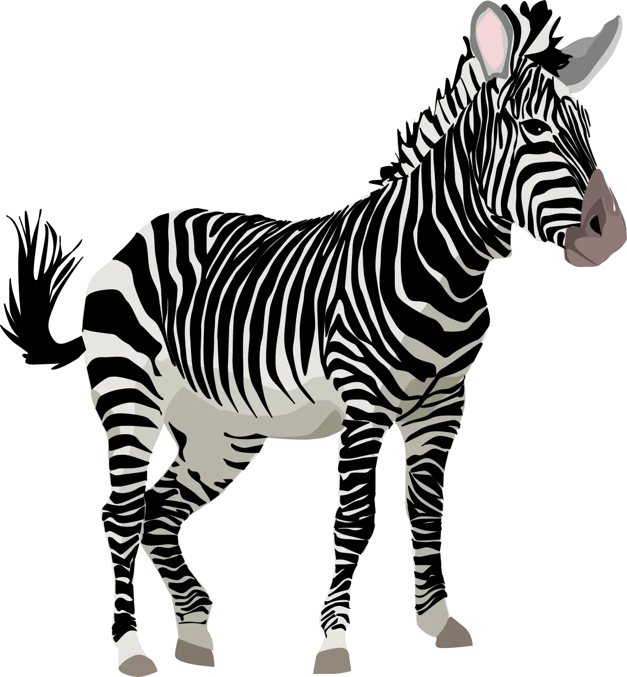 Zebra Animal Illustration with Bold Stripes