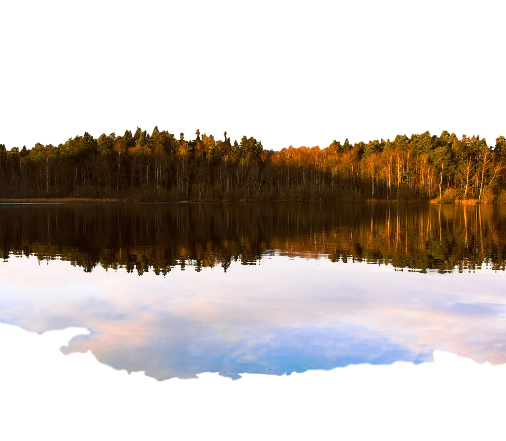 Calm Forest Reflection on Lake