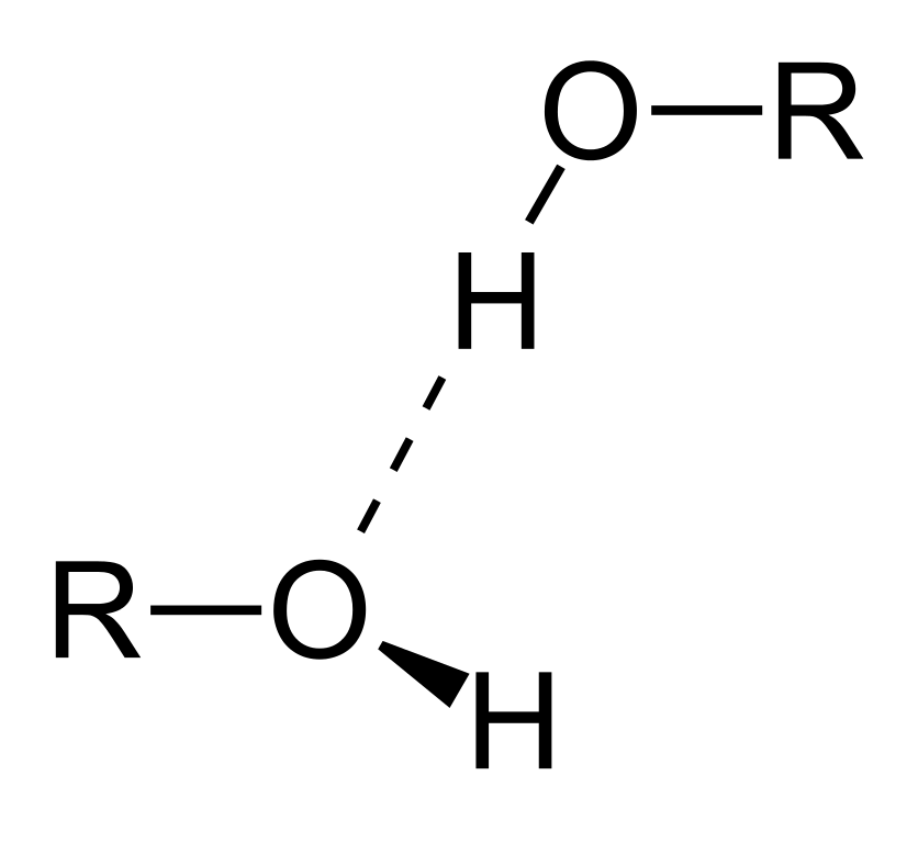 Organic Compound Bond Structure
