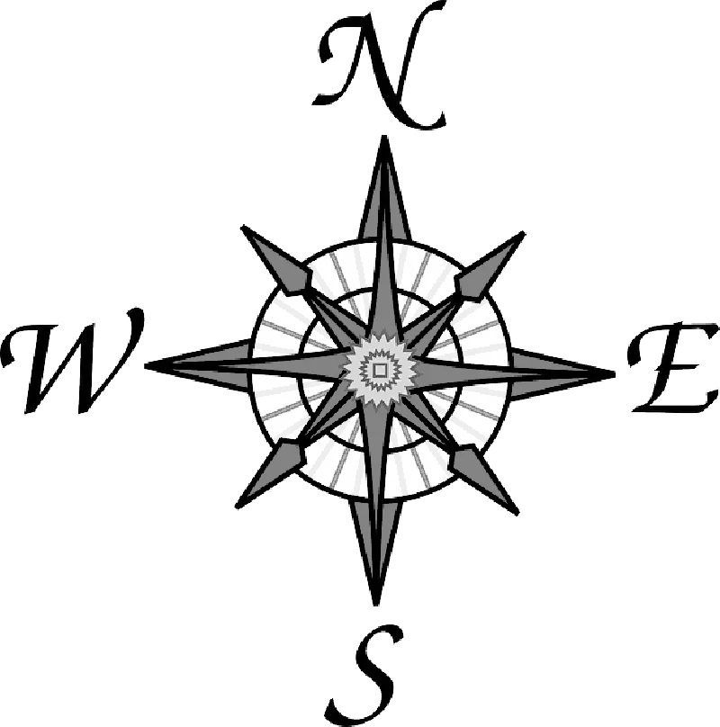 Black and White Compass Rose Design