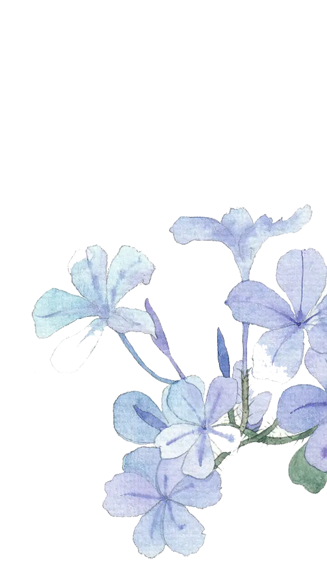 Delicate Blue Flowers with Green Leaves