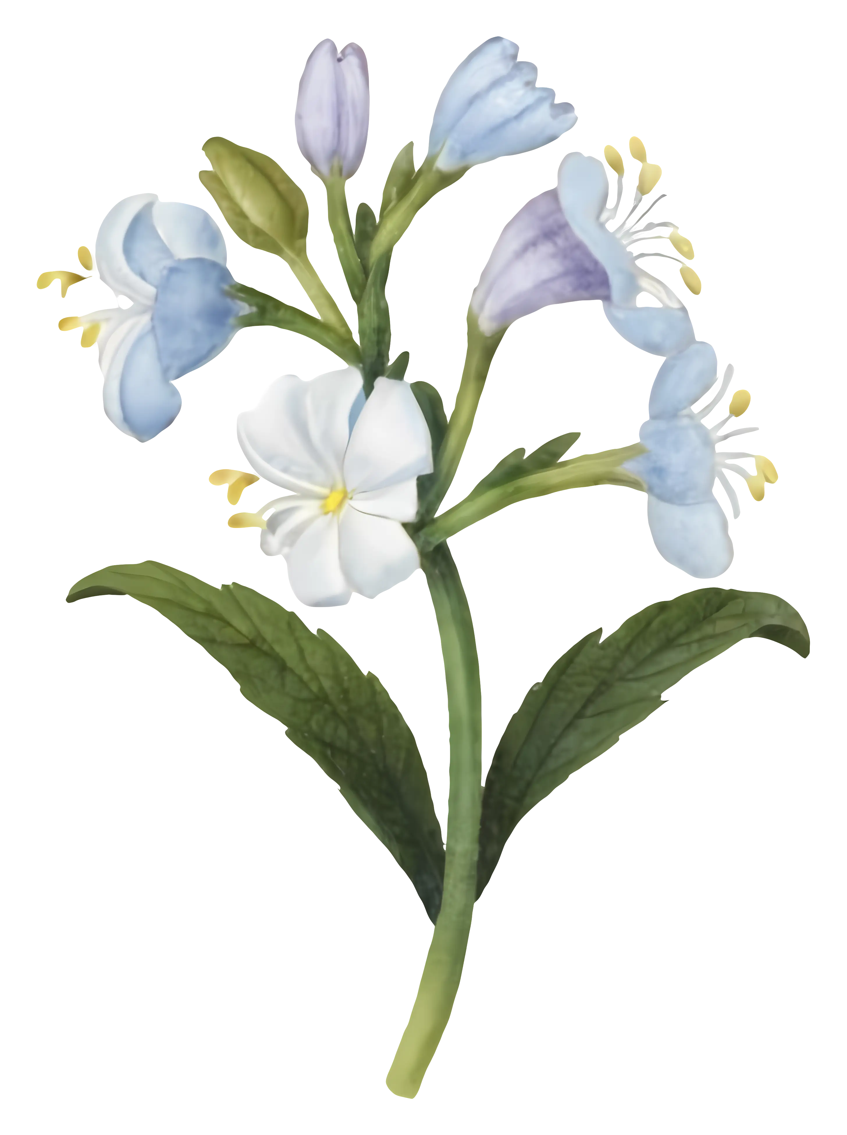 Delicate Blue and White Flowers Artwork