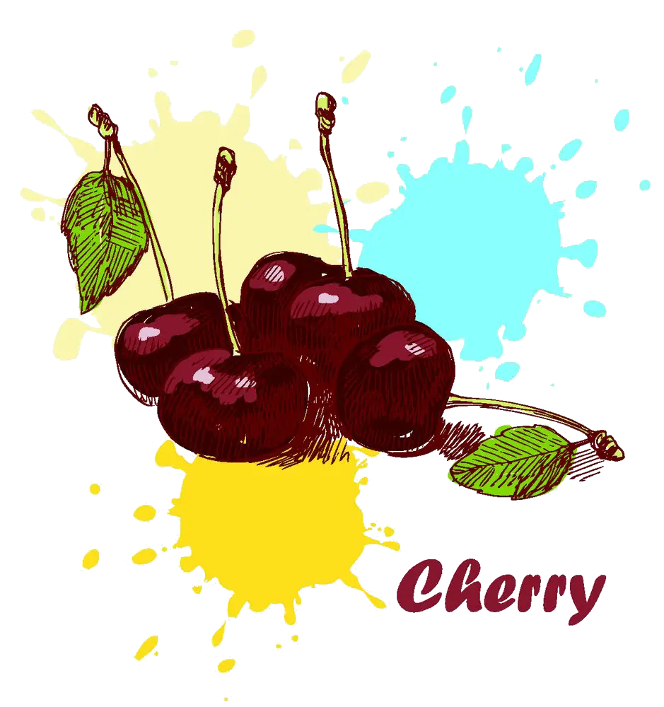 Illustration of Cherries