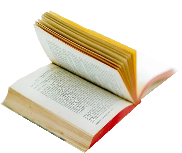Open Book with Turning Pages