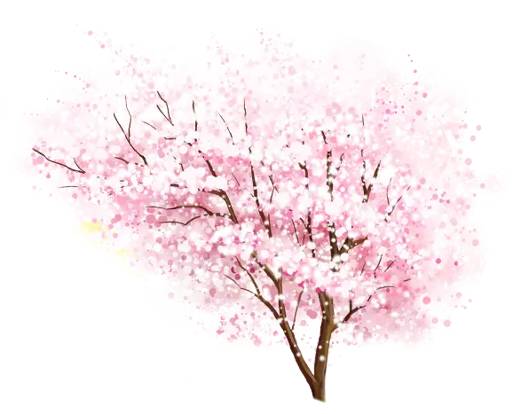 Cherry Blossom Tree Illustration in Full Bloom