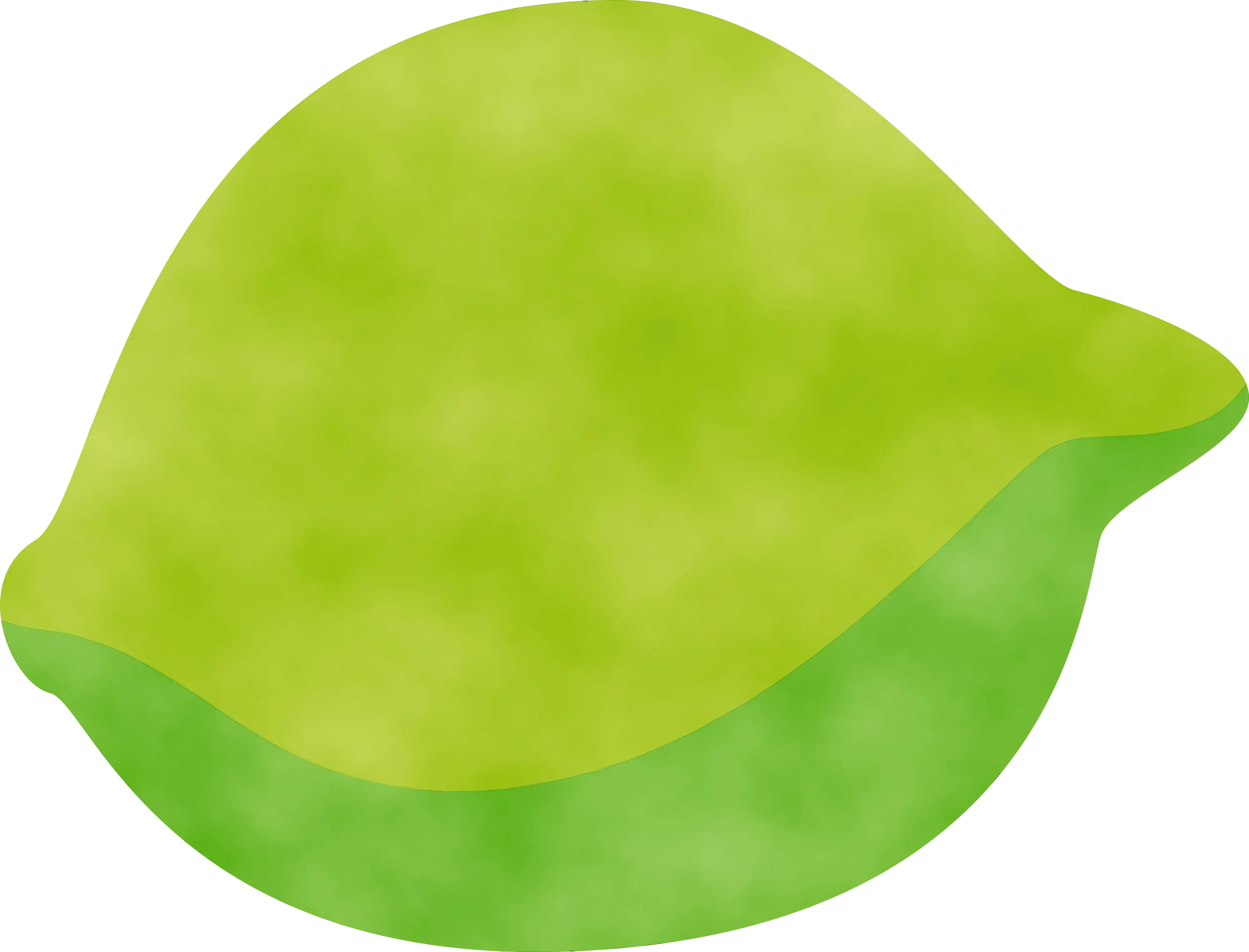 Green Lime Illustration