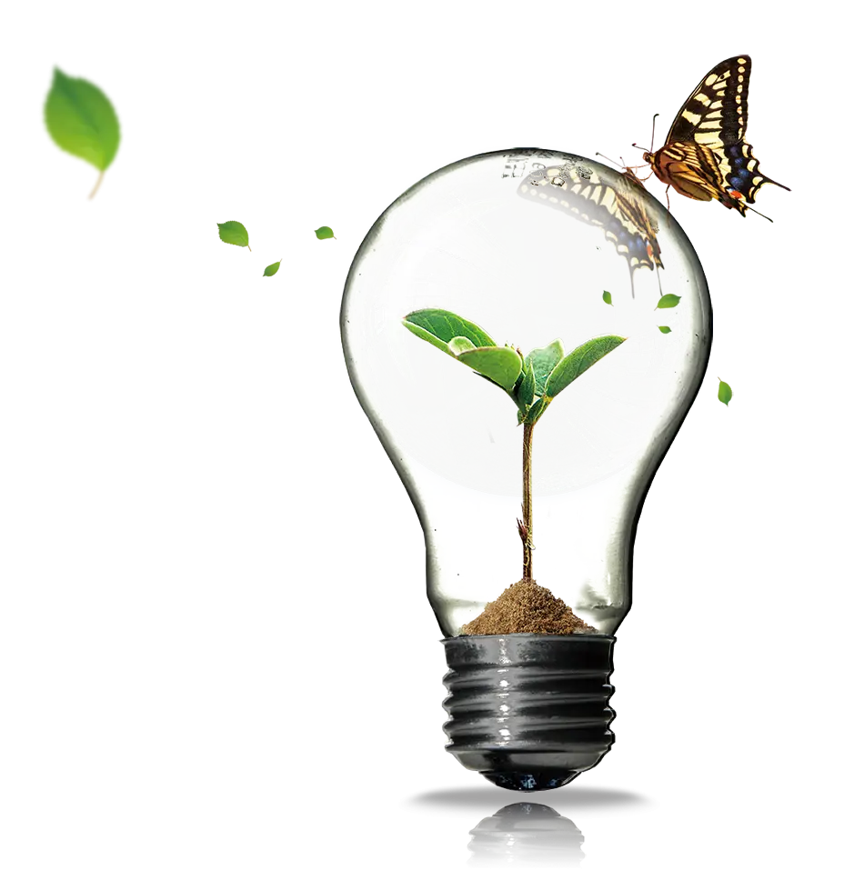 Eco-friendly Concept with Light Bulb and Plant