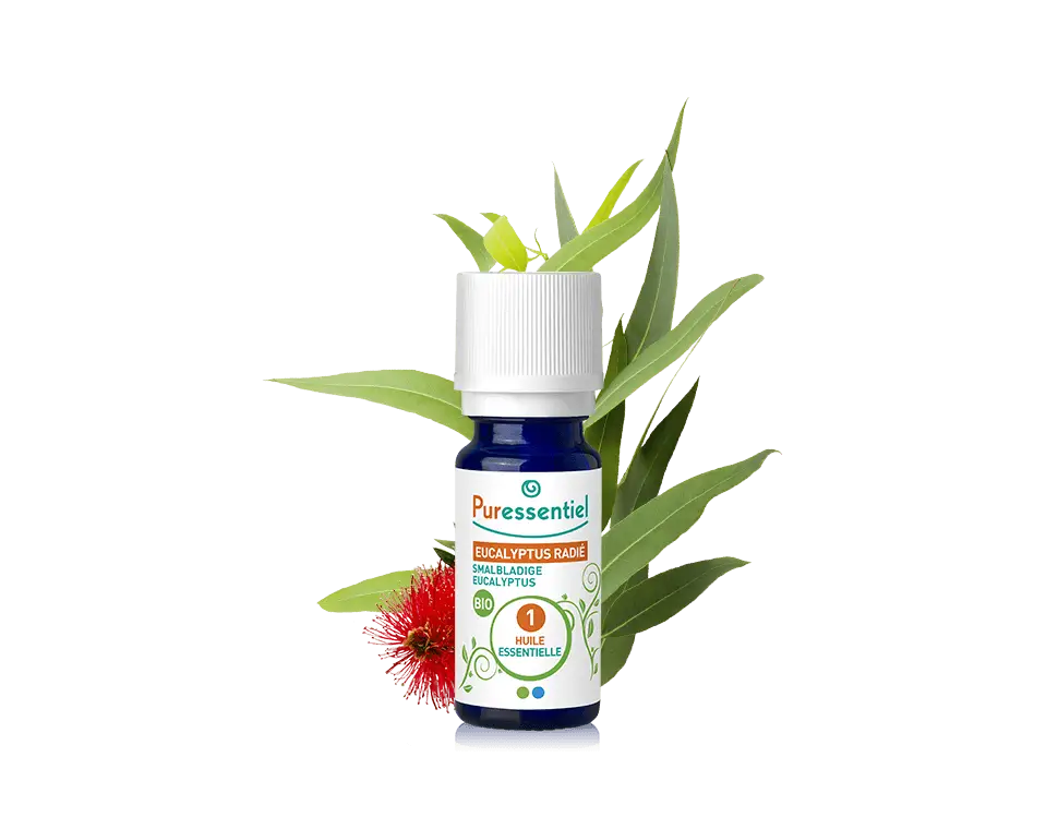 Essential Oil Bottle with Eucalyptus Leaves