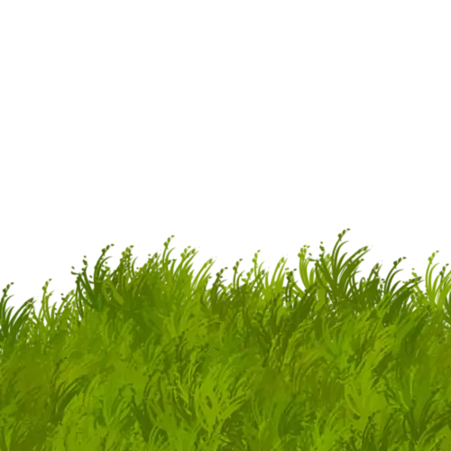 Lush Green Grass Illustration