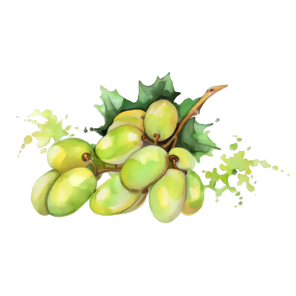 Bunch of Green Grapes with Leaves