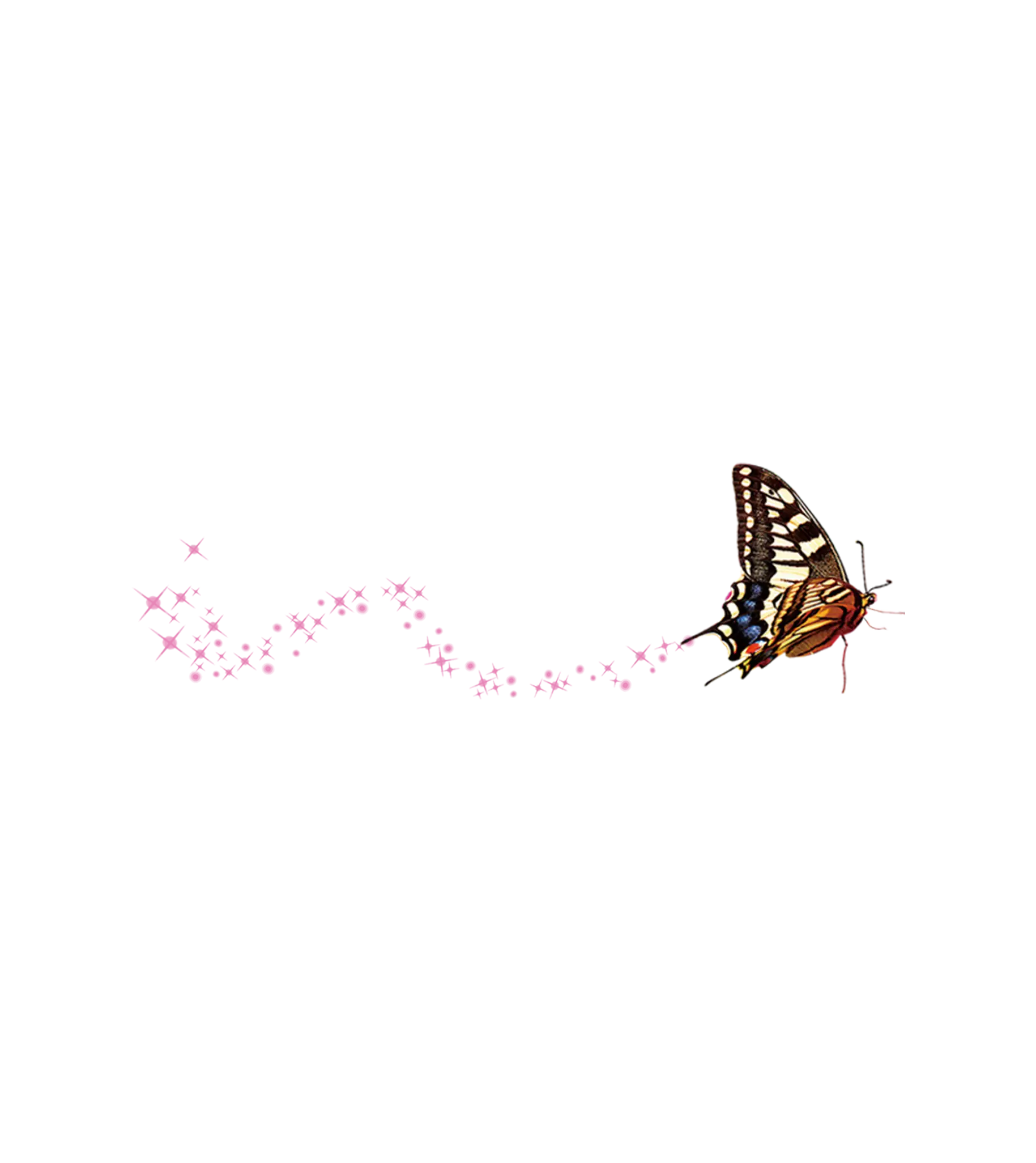 Flying Butterfly with Sparkling Trail