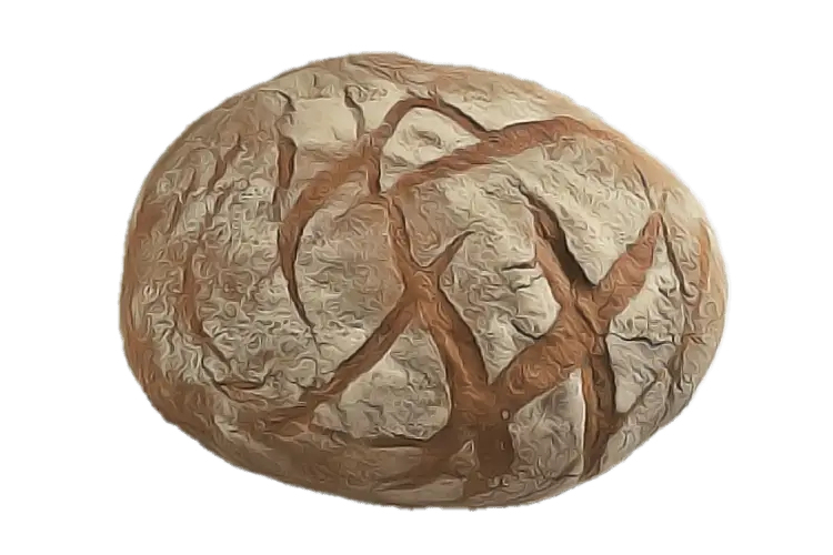Crusty Round Bread